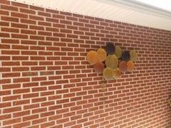 1319 Mccoy Cir, Jonesborough, TN 37659 - photo 7