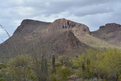 DSC_0175