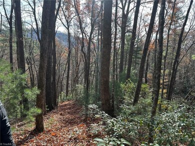 TBD1 Scout Rd, Lenoir, NC 28645 - photo 6