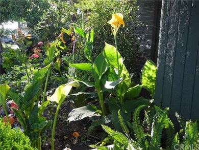 Flowers right outside your window