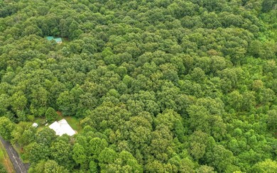 339 Cripple Creek Ln, Ellijay, GA 30536 - photo 4