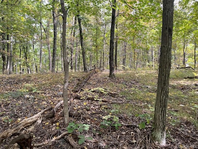 1154 Cold Spring Roa Cold Spring Rd, Clinton Corners, NY 12514 - photo 2