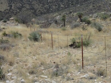 Fence Line