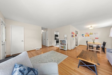 221 S Linden Ave, Elmhurst, IL 60126 - photo 3