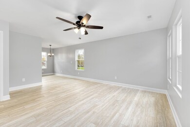 202 Grundy St, McMinnville, TN 37110 - photo 5