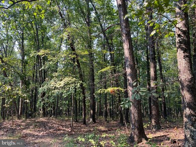 0 Whiskey Still Rd, Berkeley Springs, WV 25411 - photo 4