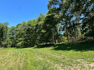 1253 Shawna Rd, Cherry Tree, PA 15724 - photo 2