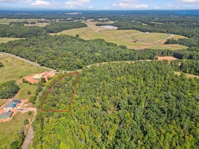 00 Andersonville Rd, Townville, SC 29689 - photo 2