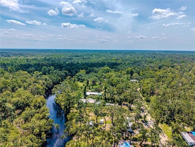 2008 River Rd NE, Steinhatchee, FL 32359 - photo 3