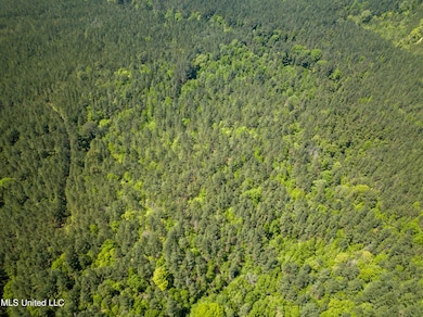 DJI_0493