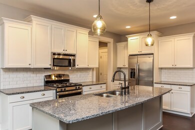 011-Kitchen-2031598-large