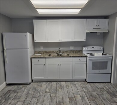 1400 Strawberry Place unit 13, Plant City, FL 33563 - photo 3