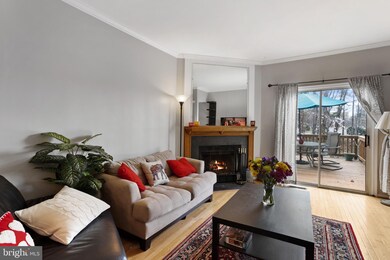 1723 Quietree Dr, Reston, VA 20194 - photo 3