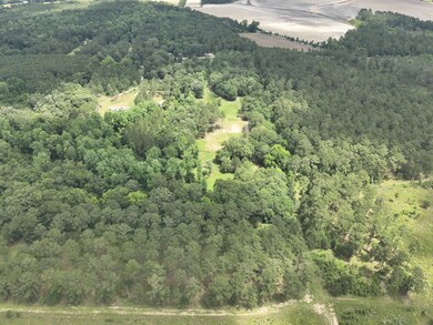 tbd County Line Rd, Pelham, GA 31779 - photo 6