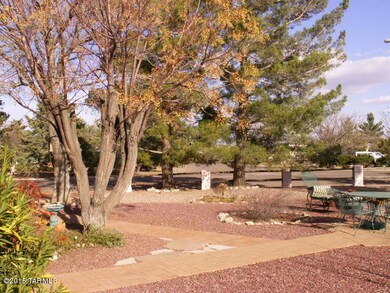 MLS_Back Yard 1