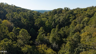 32.38 Ac Panther Creek Rd, Sneedville, TN 37869 - photo 2