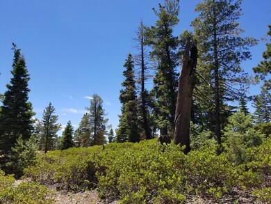 320 S Lichen Ln unit ZVME D-125, Duck Creek Village, UT 84762 - photo 3