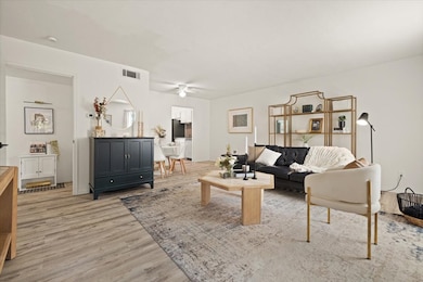 Inviting Living Room, with Designer colors and ready for you.