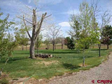 0 Road North 6 Loop unit 665164, Cortez, CO 81321 - photo 2