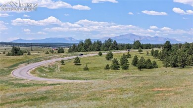 10490 Alamar Way, Black Forest, CO 80908 - photo 7