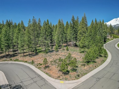 37 Panther Meadow Dr, McCloud, CA 96057 - photo 3