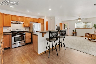 509 Dallas Aly, Woodland Park, CO 80863 - photo 7