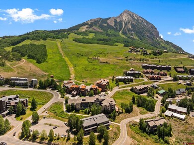 9 Hunter Hill Rd unit 203, Mt. Crested Butte, CO 81225 - photo 7