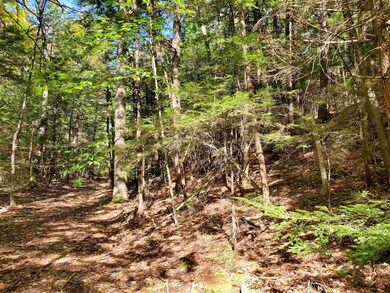 0 Pierce Rd, Chesterfield, NH 03462 - photo 4