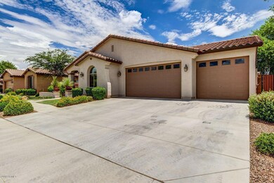 439 W Basswood Ave, San Tan Valley, AZ 85140 - photo 4