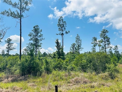 View of local wilderness