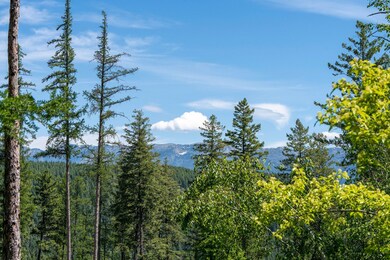 227 Chief Cliff Trail, Bigfork, MT 59911 - photo 3