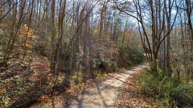 300 River Mist Ln, Franklin, NC 28734 - photo 4