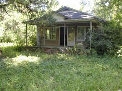 0 Sims Reach Rd, Kingstree, SC 29556 - photo 4