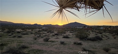 0 Campanula St unit JT25267927, Joshua Tree, CA 92252 - photo 3