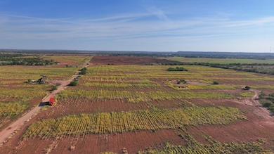 Kickapoo Rd, Bronte, TX 76933 - photo 3