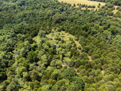 DJI_0067