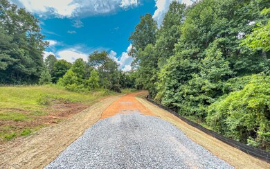10.51 Harold Pritchett Rd, Ellijay, GA 30540 - photo 4