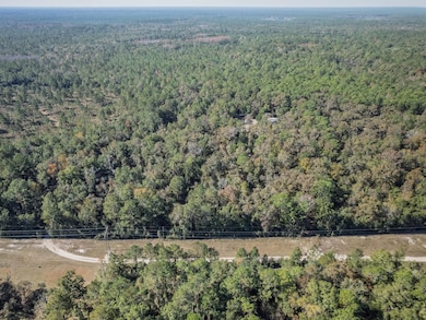 9412 Ranchero Rd, Tallahassee, FL 32305 - photo 7