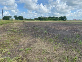 10351 Bushnell Rd, Needville, TX 77461 - photo 2