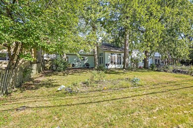 Back yard