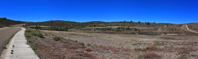 Pano_from_231