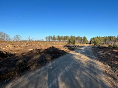 --1 Irving Rd, Batesburg-Leesville, SC 29006 - photo 6