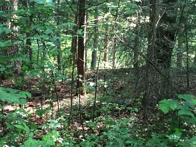 0 N Campbell unit 464059, Laporte, IN 46350 - photo 7