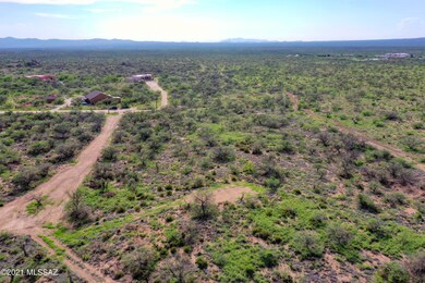 DJI_0562
