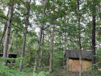 868 Watson Rd, Clinton, AR 72031 - photo 7