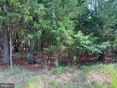 0 Tidewater Trail unit VAES2000690, Center Cross, VA 22437 - photo 5