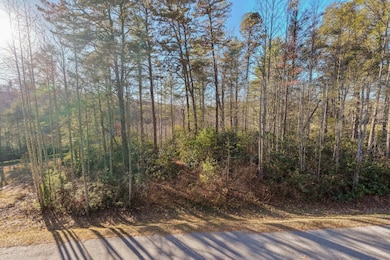 59 Bottlebrush Dr, Cashiers, NC 28717 - photo 5