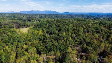 3468 Fir Ln, Ellijay, GA 30540 - photo 4