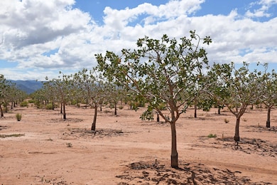 509 Riata Rd, Tularosa, NM 88352 - photo 2