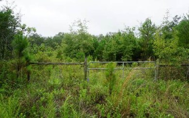 334 NW Battlehill Ln, Lake City, FL 32055 - photo 4